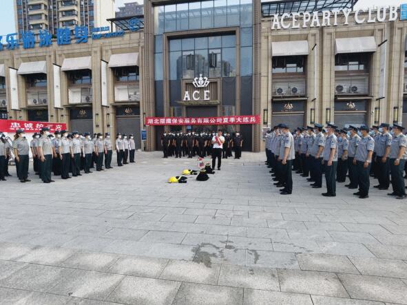 轉(zhuǎn)載：颯！酷！高溫下的襄陽街頭驚現(xiàn)一群“獵鷹”！